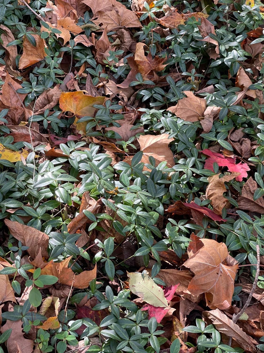 0 Hunting Creek Road Big Island, VA 24526 - Photo 5 of 17 an aerial view of residential houses with outdoor space and trees