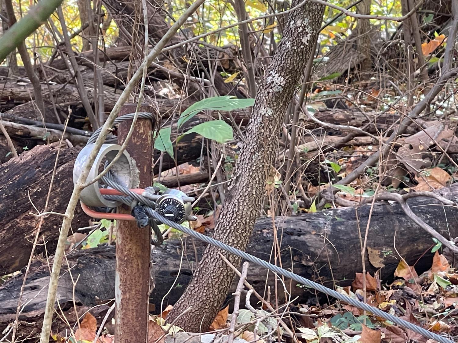 0 Hunting Creek Road Big Island, VA 24526 - Photo 8 of 17 a view of a tree with a tree