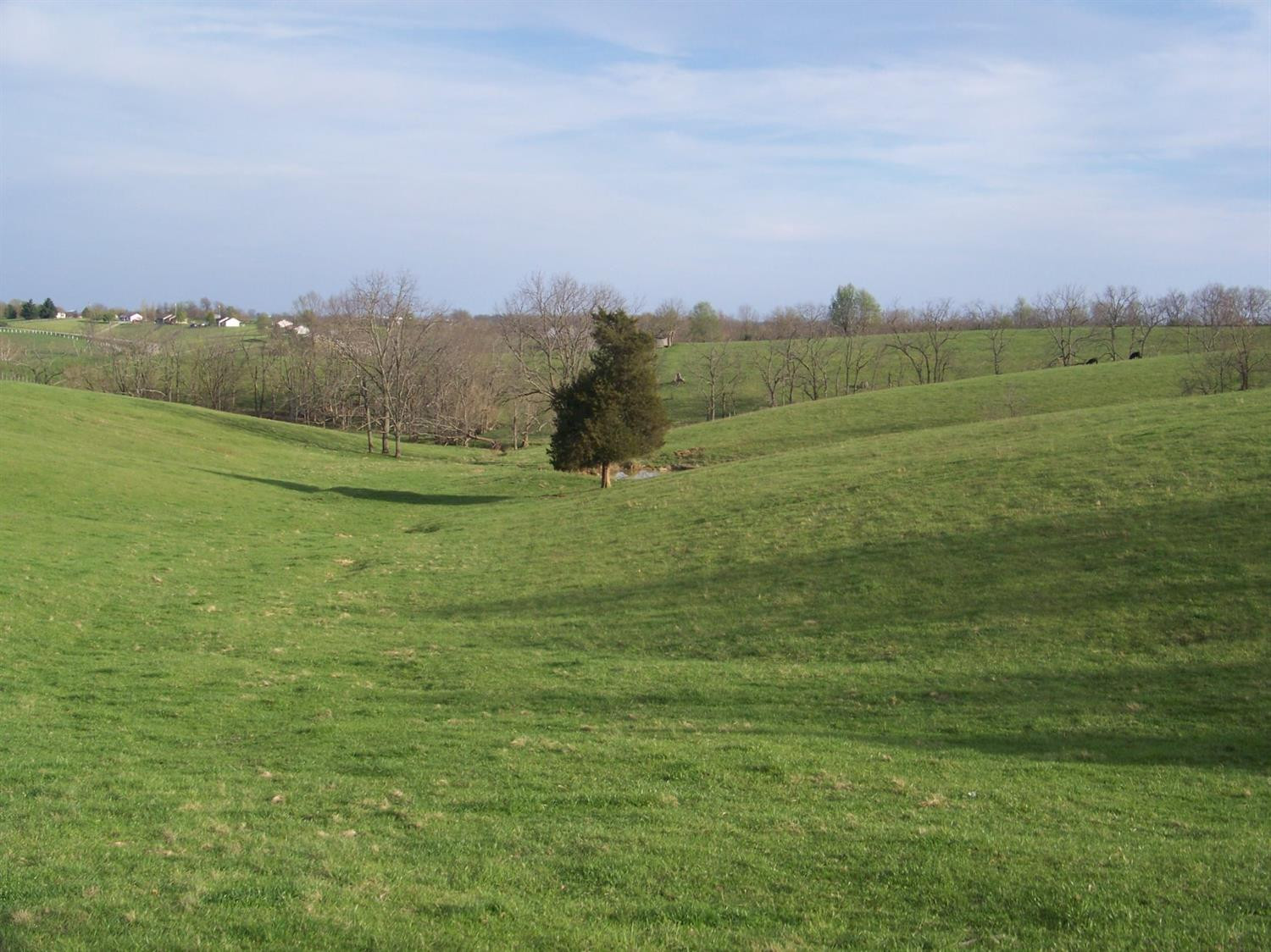 2222 Tipton Road Mount Sterling, KY 40353 - Photo 3 of 4 Photo 3