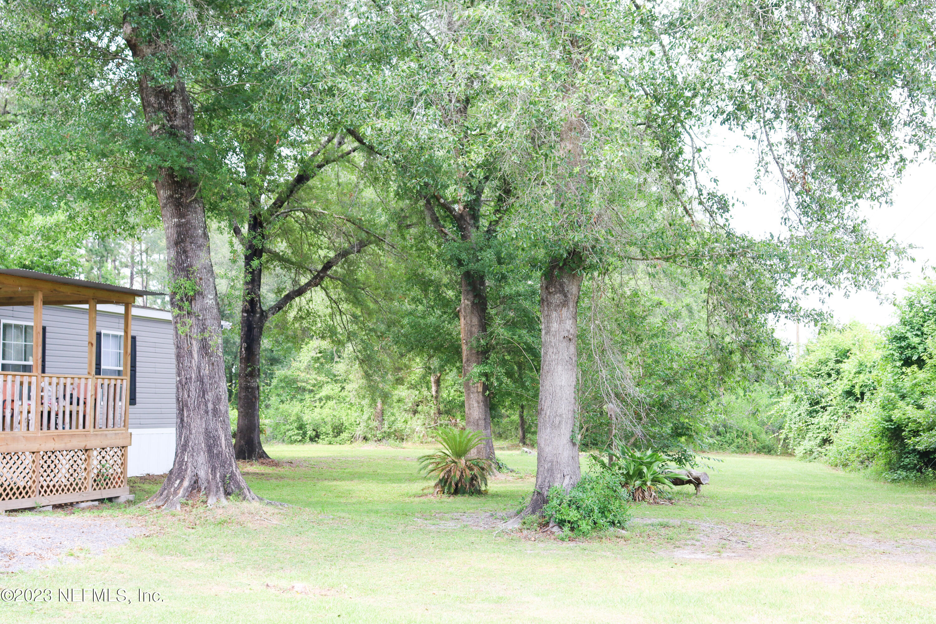 447689 Us Highway Callahan, FL 32011 - Photo 30 of 37 a view of a yard in front of a house with large tree