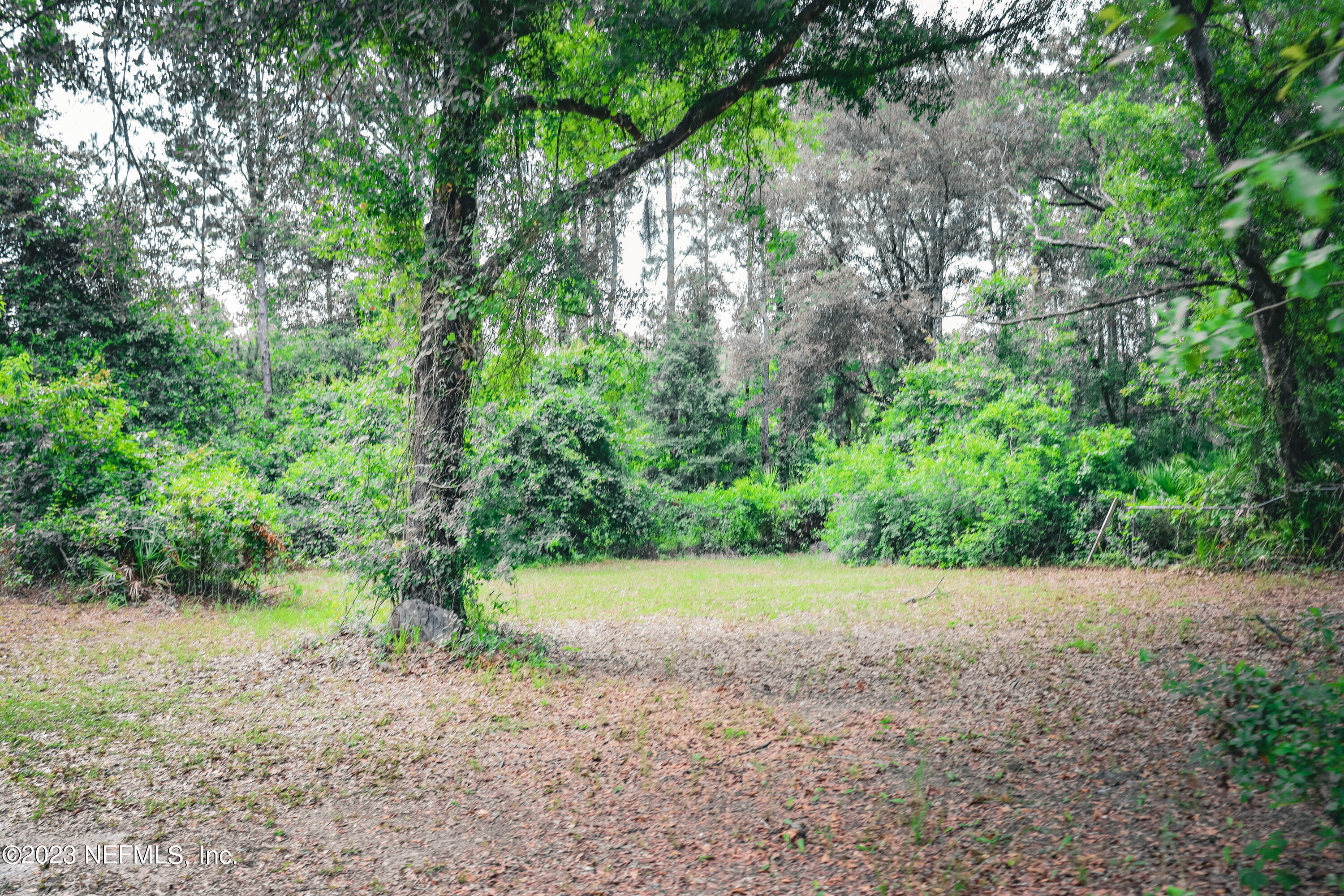 447689 Us Highway Callahan, FL 32011 - Photo 32 of 37 a view of a yard with a tree