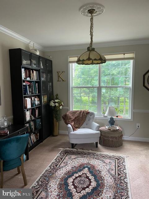 6705 Chapel Dale Road Bowie, MD 20720 - Photo 15 of 28 Dining room now staged as a library
