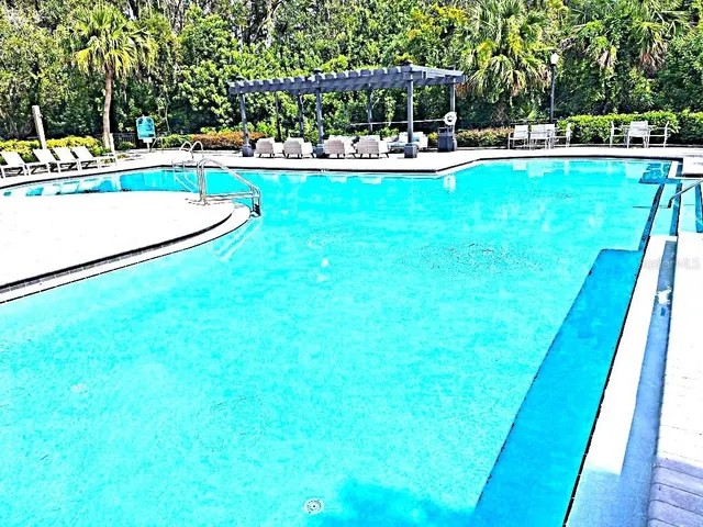 a view of a garden with a tree