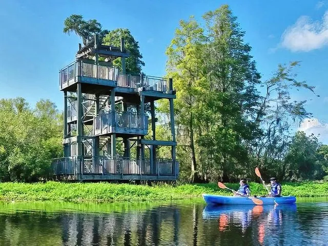 a view of a park that has a tree on the side of it