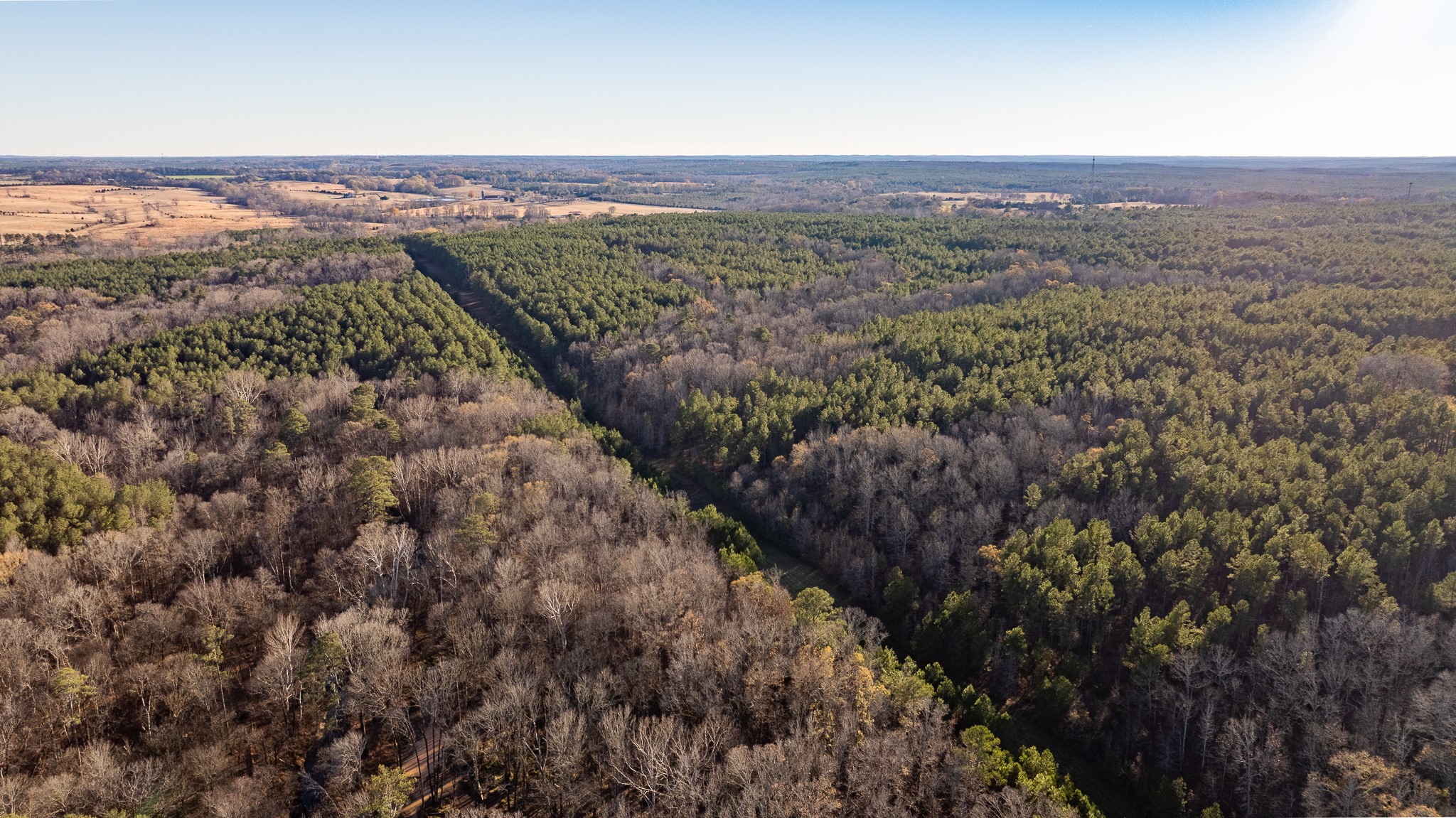 8548 Elberton Road Tignall, GA 30668 - Photo 42 of 50 a view of city and mountain