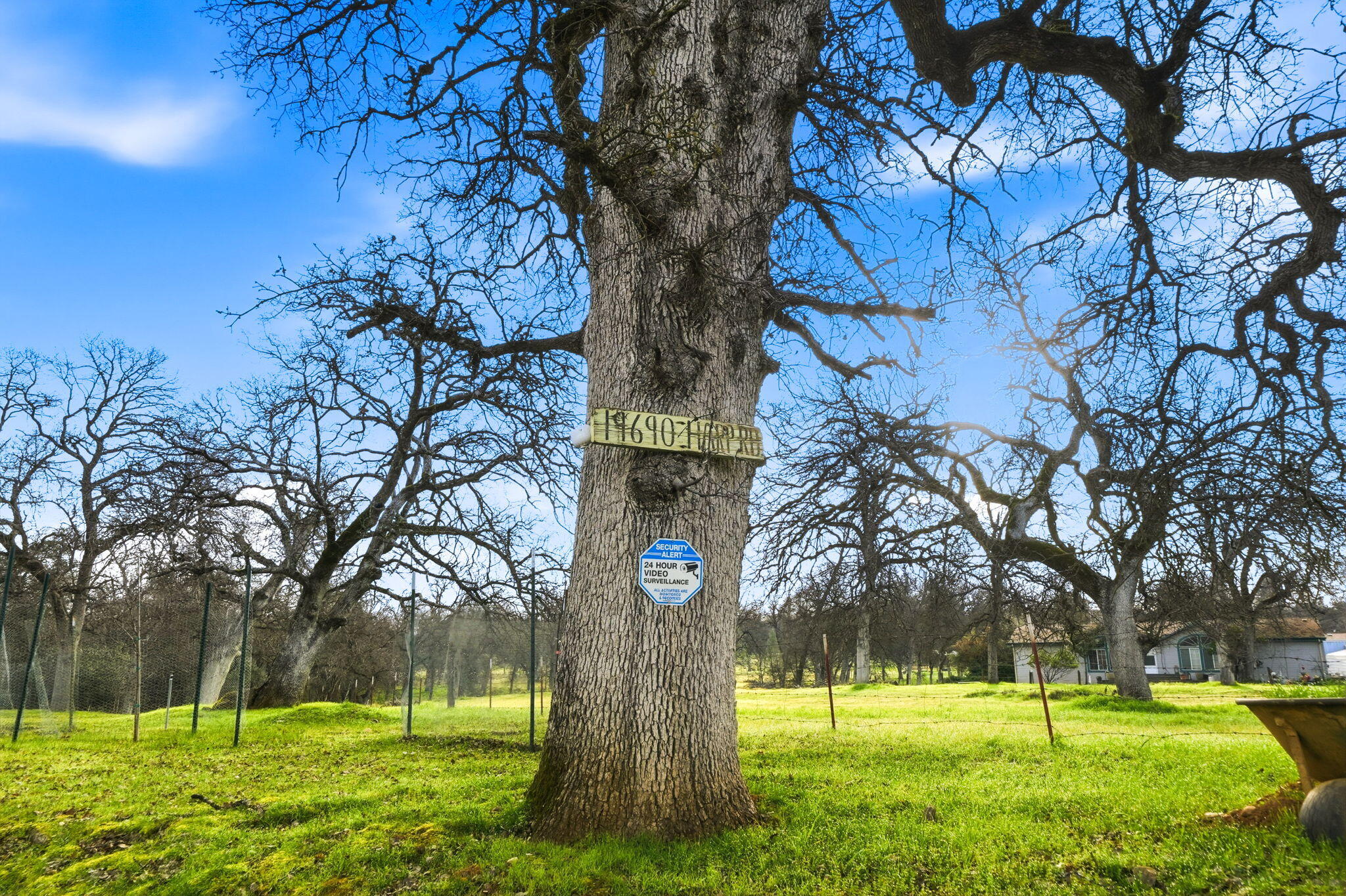 19690 Harp Road Cottonwood, CA 96022 - Photo 23 of 97 2-web-or-mls-IMG-02