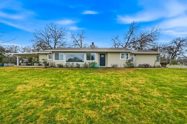 a view of a yard with a tree in the background