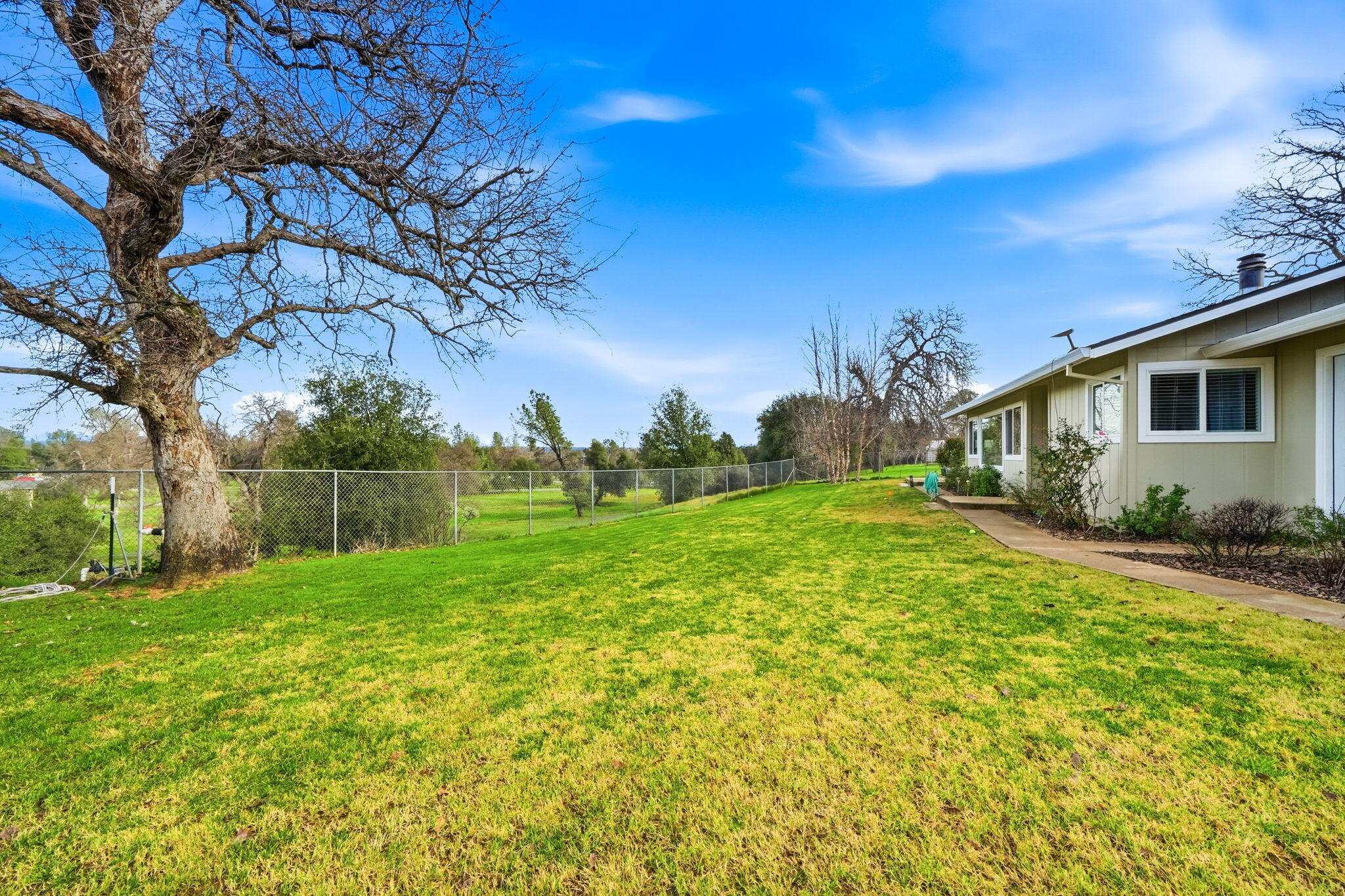 19690 Harp Road Cottonwood, CA 96022 - Photo 29 of 97 a backyard of a house with plants and large tree
