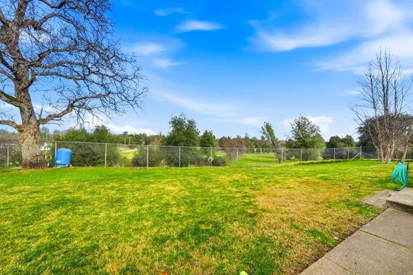 a view of backyard with table and chairs and a large tree