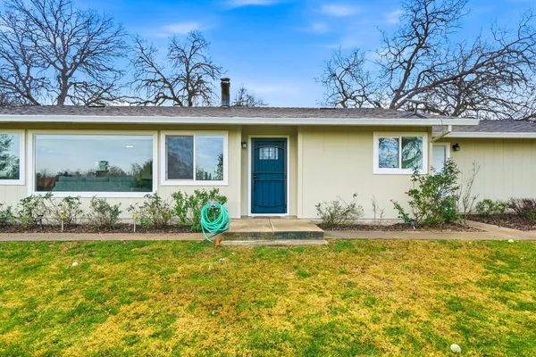 a view of a trees with a big yard