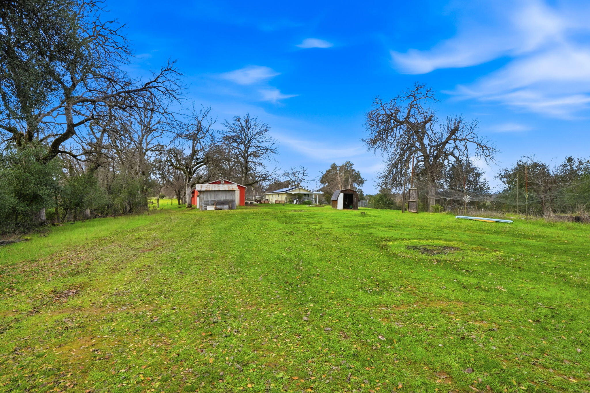 19690 Harp Road Cottonwood, CA 96022 - Photo 49 of 97 a view of a trees with a big yard