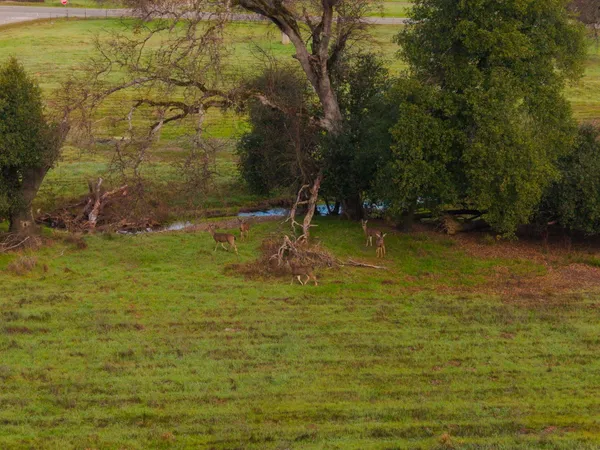 $525,000 | 19690 Harp Road, Cottonwood, CA 96022