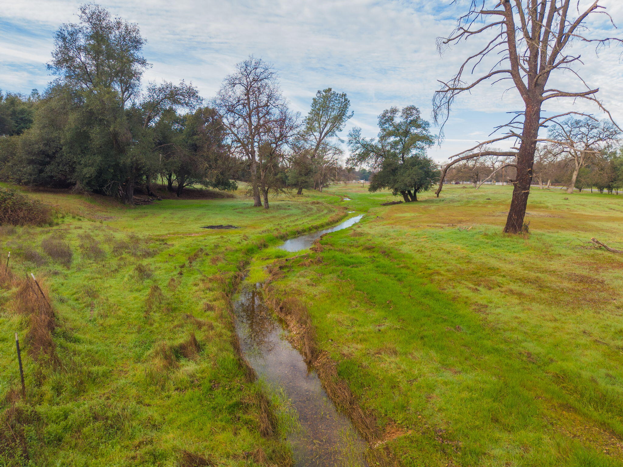 19690 Harp Road Cottonwood, CA 96022 - Photo 60 of 97 a view of a yard with trees