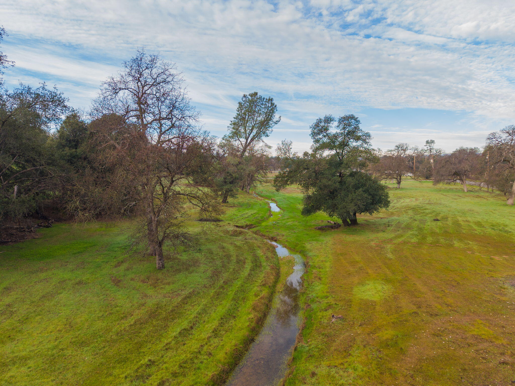 19690 Harp Road Cottonwood, CA 96022 - Photo 62 of 97 a view of a yard