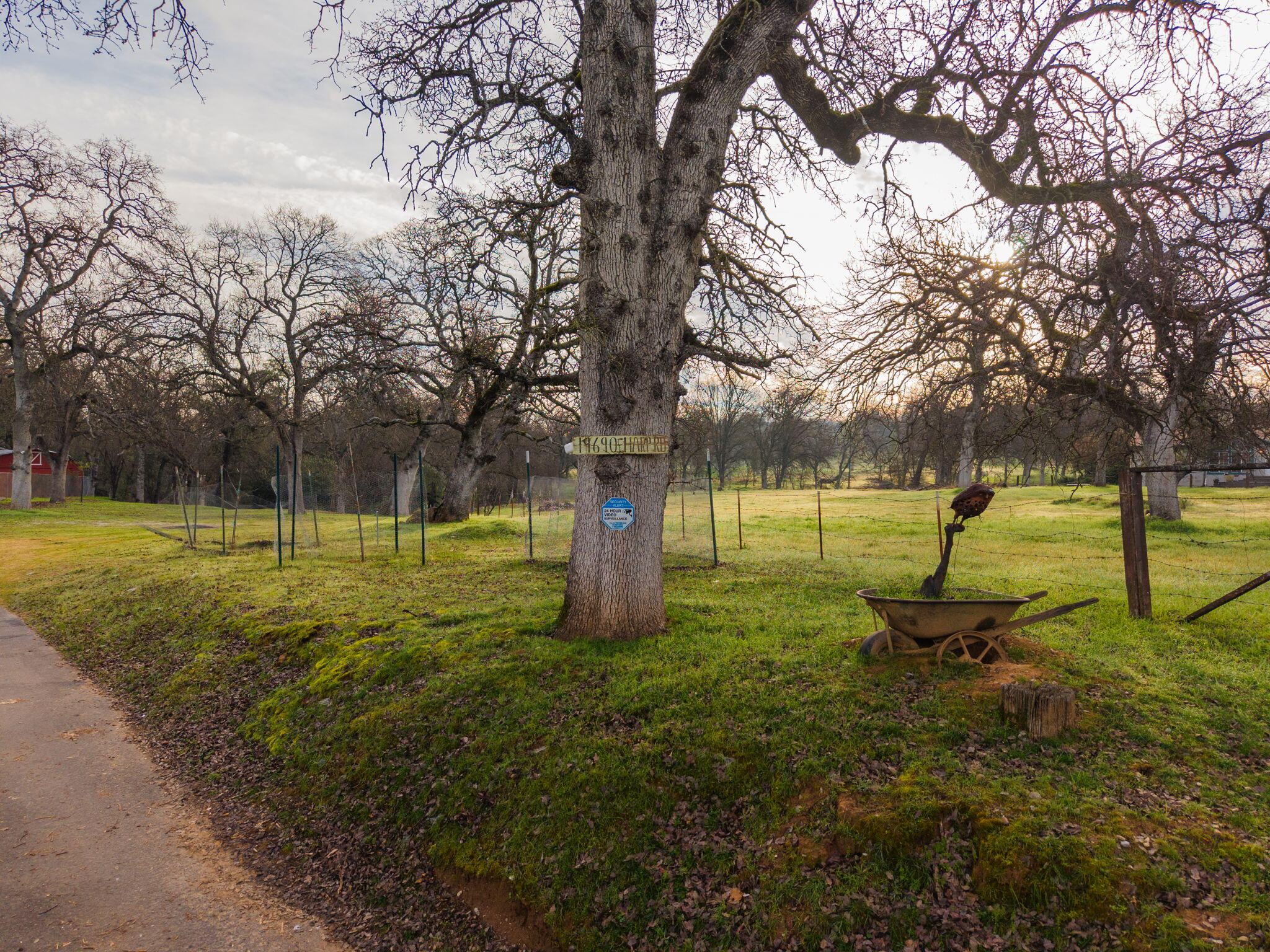 19690 Harp Road Cottonwood, CA 96022 - Photo 91 of 97 a view of a park with large trees