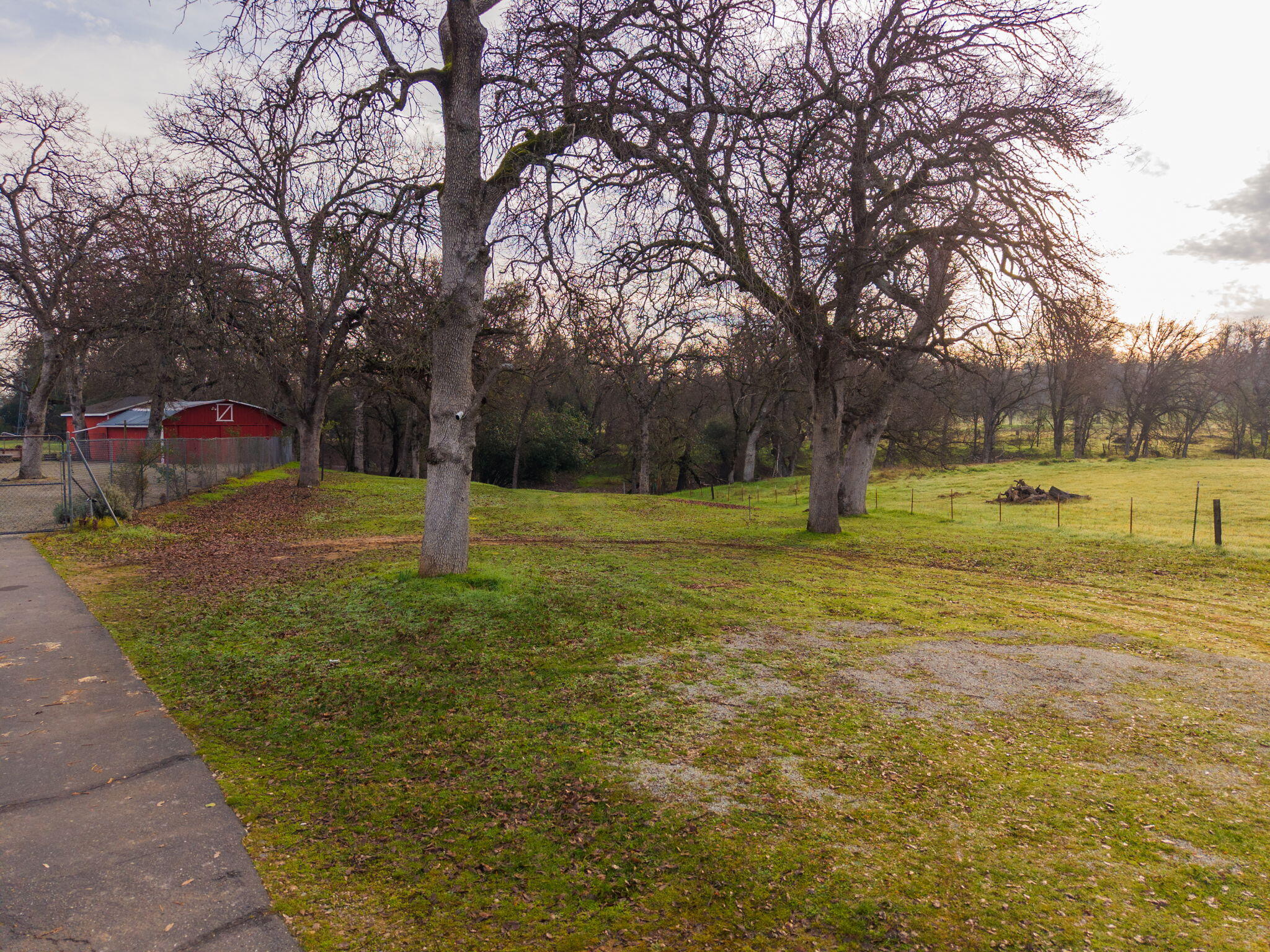 19690 Harp Road Cottonwood, CA 96022 - Photo 94 of 97 a view of a park with large trees