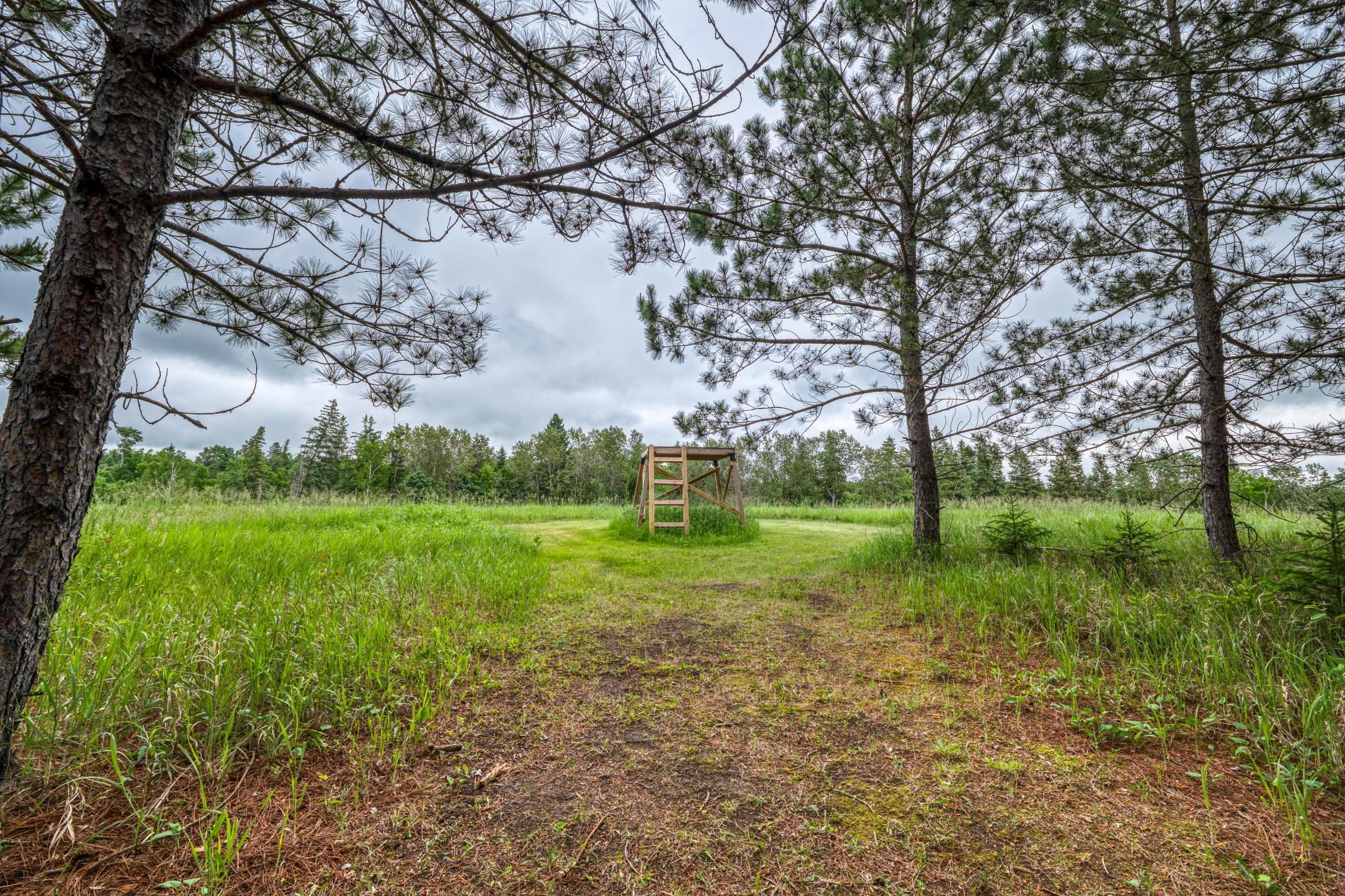 24058 County 2 Shevlin, MN 56676 - Photo 55 of 90