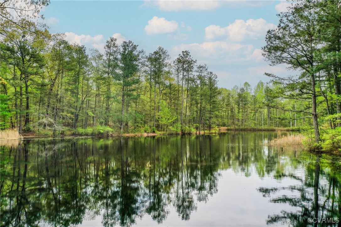 6018 McClellan Road Mechanicsville, VA 23111 - Photo 16 of 50 Gallery Image 16