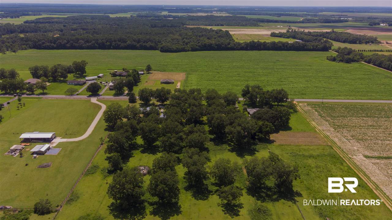 15308 County Road 83 Elberta, AL 36530 - Photo 10 of 45