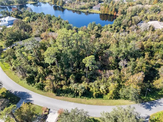 a view of a garden with a tree