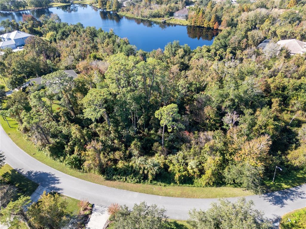 a view of a garden with a tree