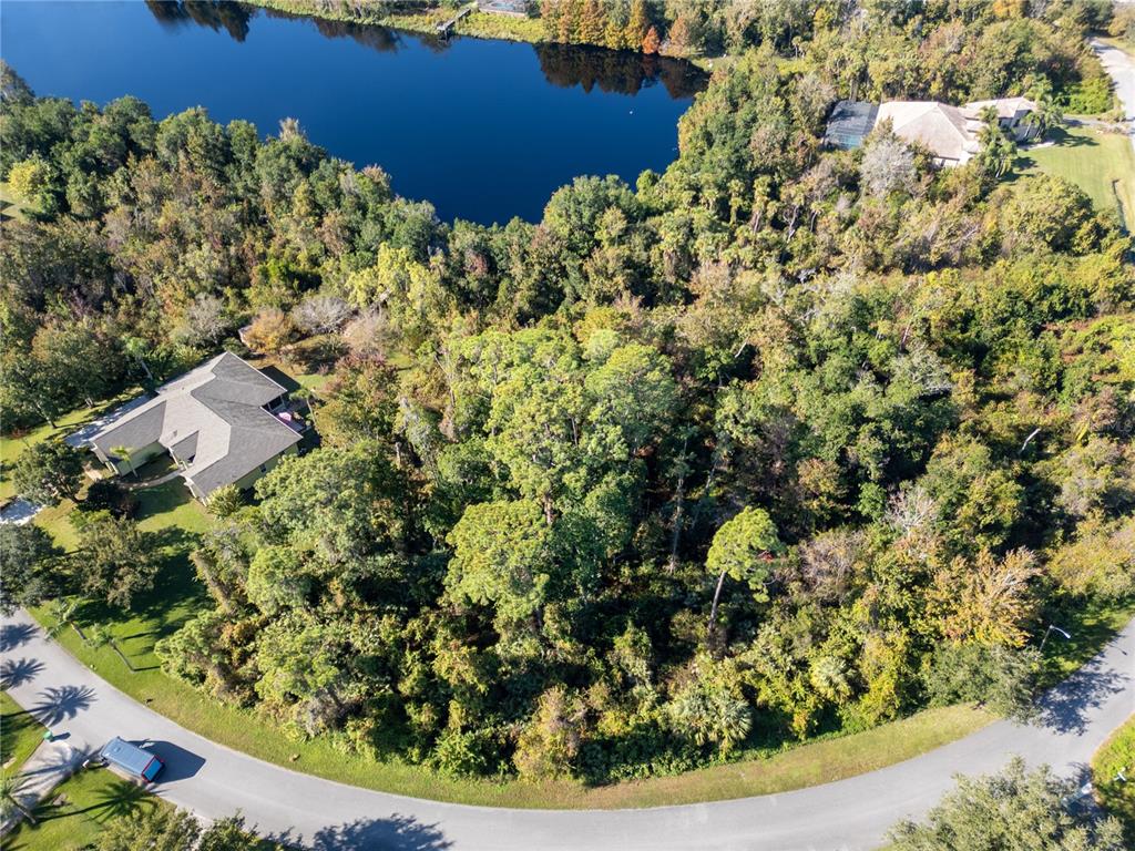 3827 Rambling Acres Drive Titusville, FL 32796 - Photo 5 of 8 a view of a garden with plants