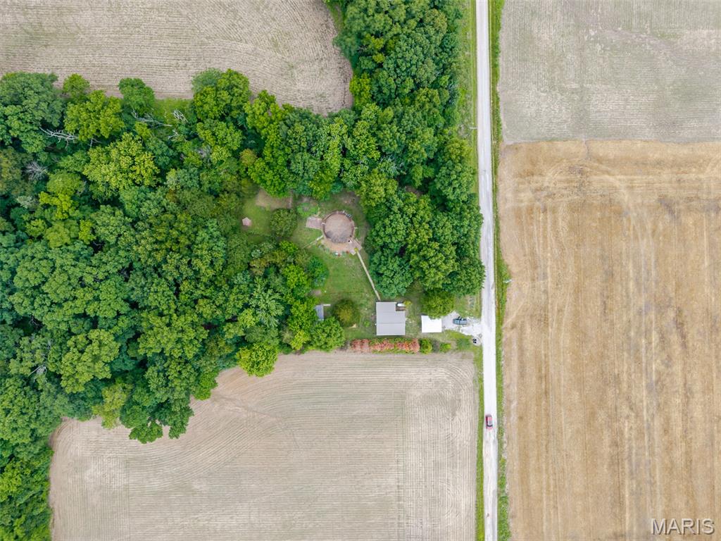 12042 Dutch Ashley, IL 62808 - Photo 40 of 45