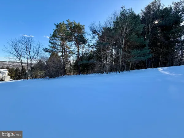 a view of empty field with trees in the background