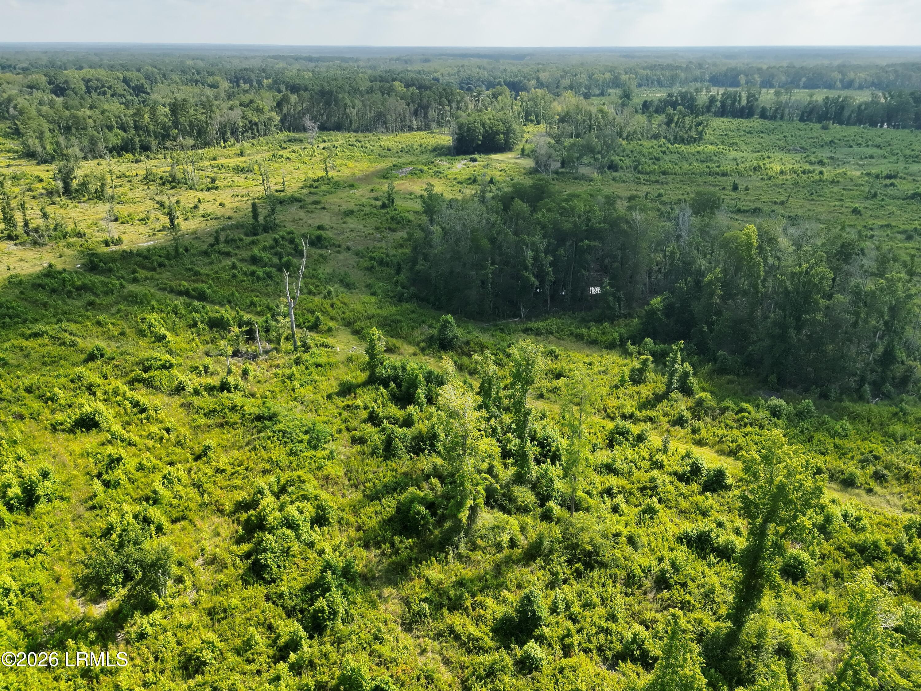 Tbd Hunters Chapel Road Bamberg, SC 29003 - Photo 3 of 14 DJI_20260630101920_0004_V