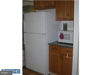 2310 Triebel Road Abington, PA 19001 - Photo 3 of 12 Kitchen