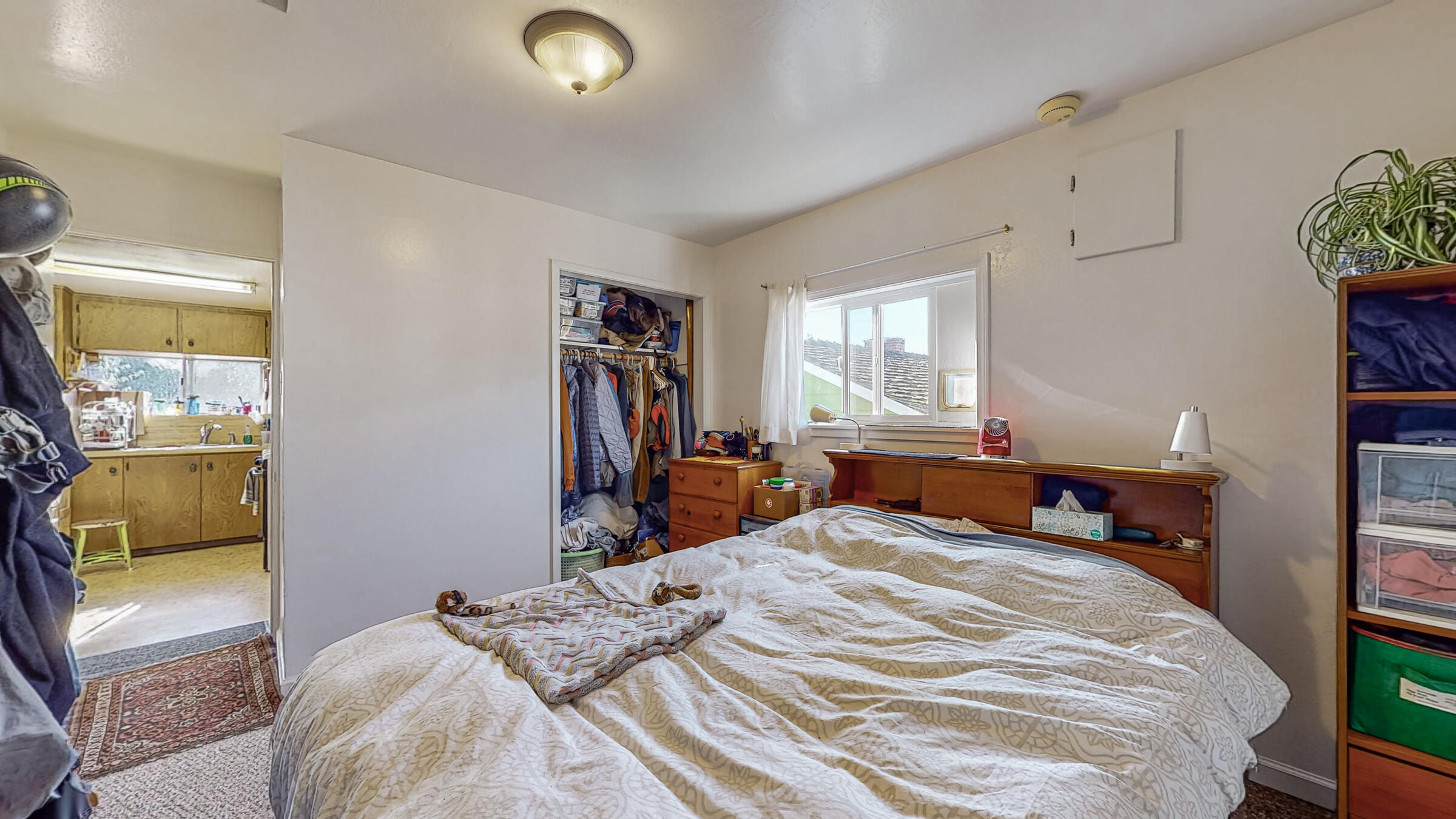 932 Spring Street Arcata, CA 95521 - Photo 53 of 64 932 Spring Street Arcata-253