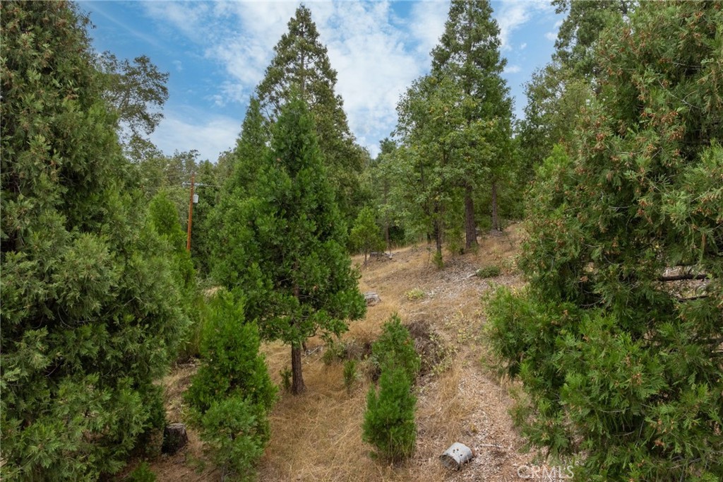 26 Timberview Road North Fork, CA 93643 - Photo 57 of 60