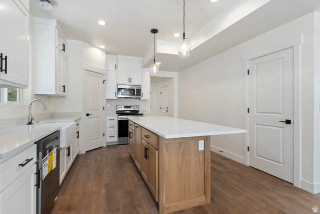 504 North 650 E Street Springville, UT 84663 - Photo 6 of 36 Modern kitchen with white cabinetry and dark hardware, featuring a large center island with wood-finish base, stainless steel appliances, a farmhouse sink, and wood-finish flooring