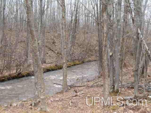 18.58 Bolo Road, Unit 1 Ontonagon, MI 49953 - Photo 2 of 6 Gallery Image 2