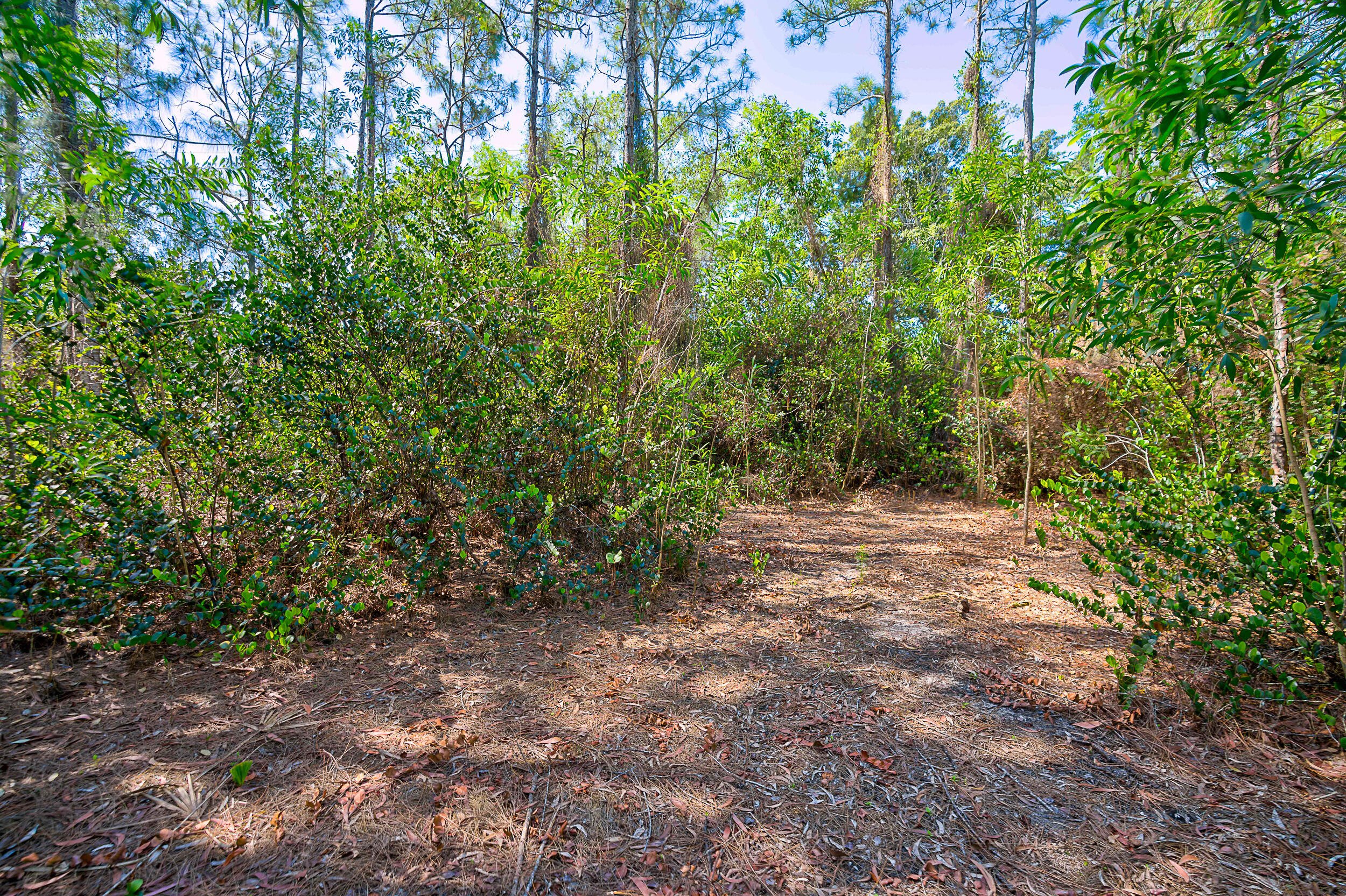 11473 154th Road North Jupiter, FL 33478 - Photo 15 of 24 Walking Paths Throughout