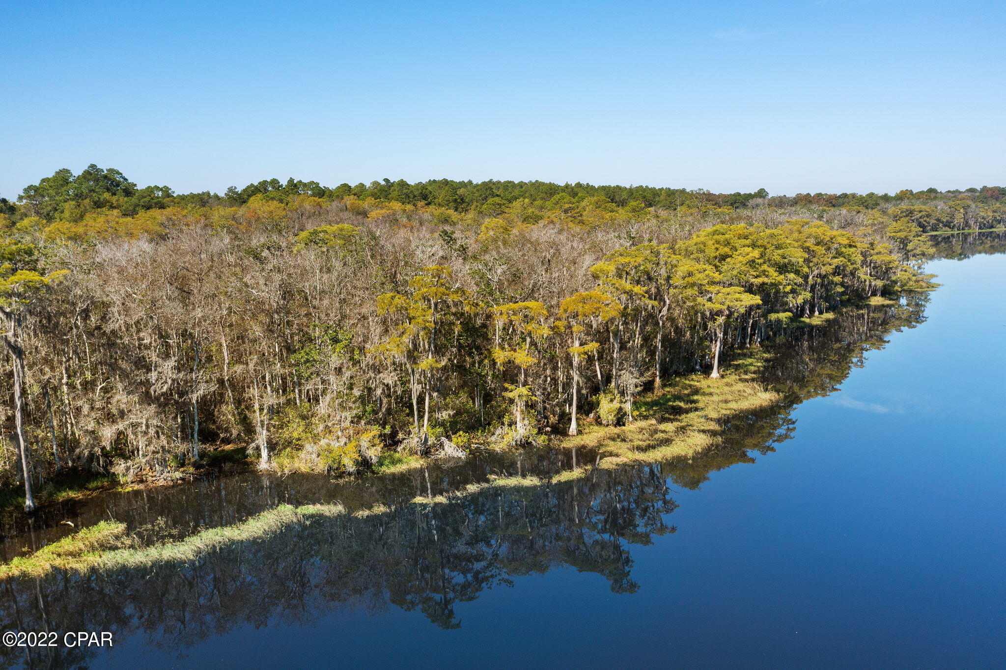 3199 Pate Pond Road Caryville, FL 32427 - Photo 1 of 36