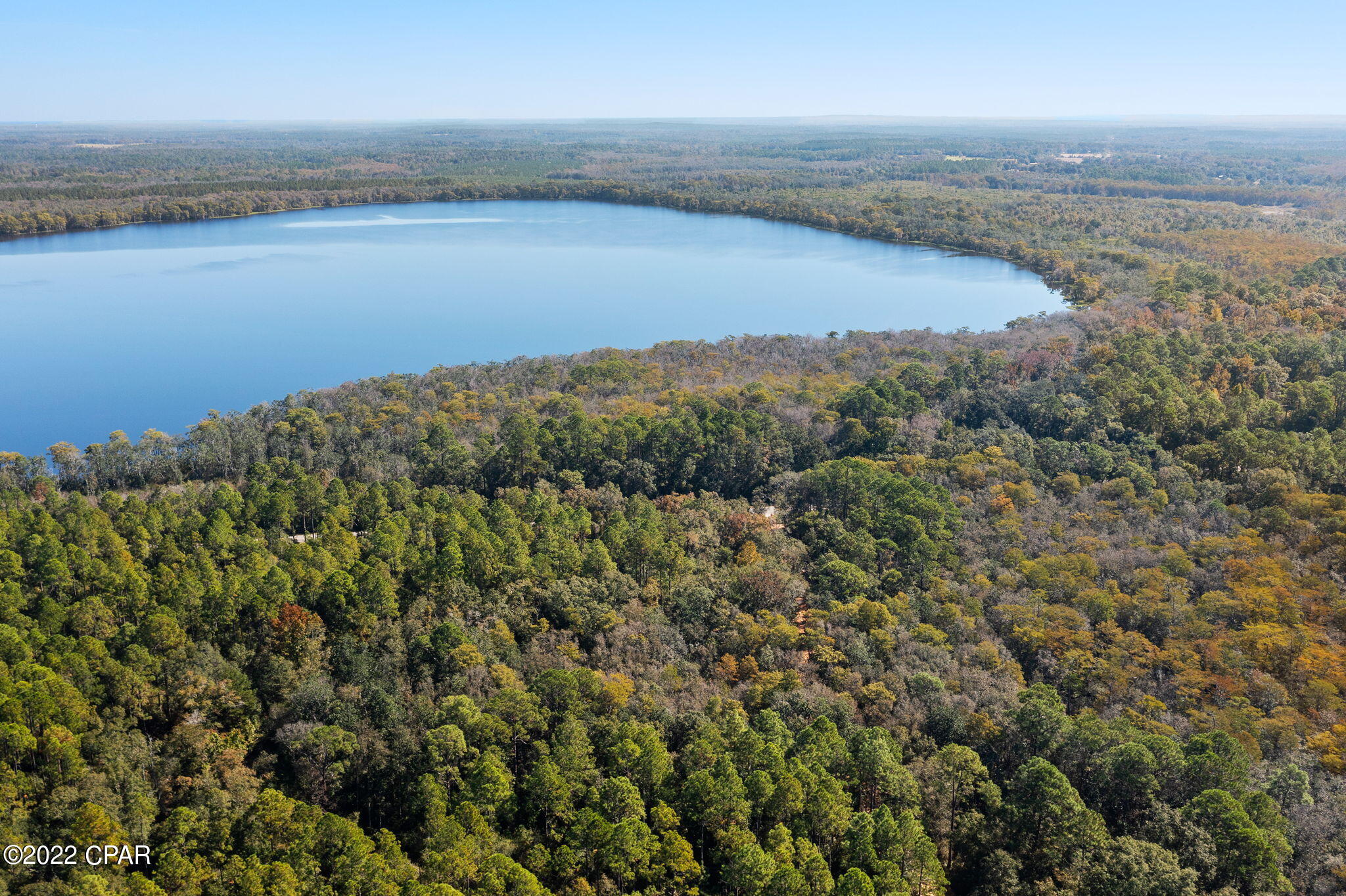 3199 Pate Pond Road Caryville, FL 32427 - Photo 16 of 36