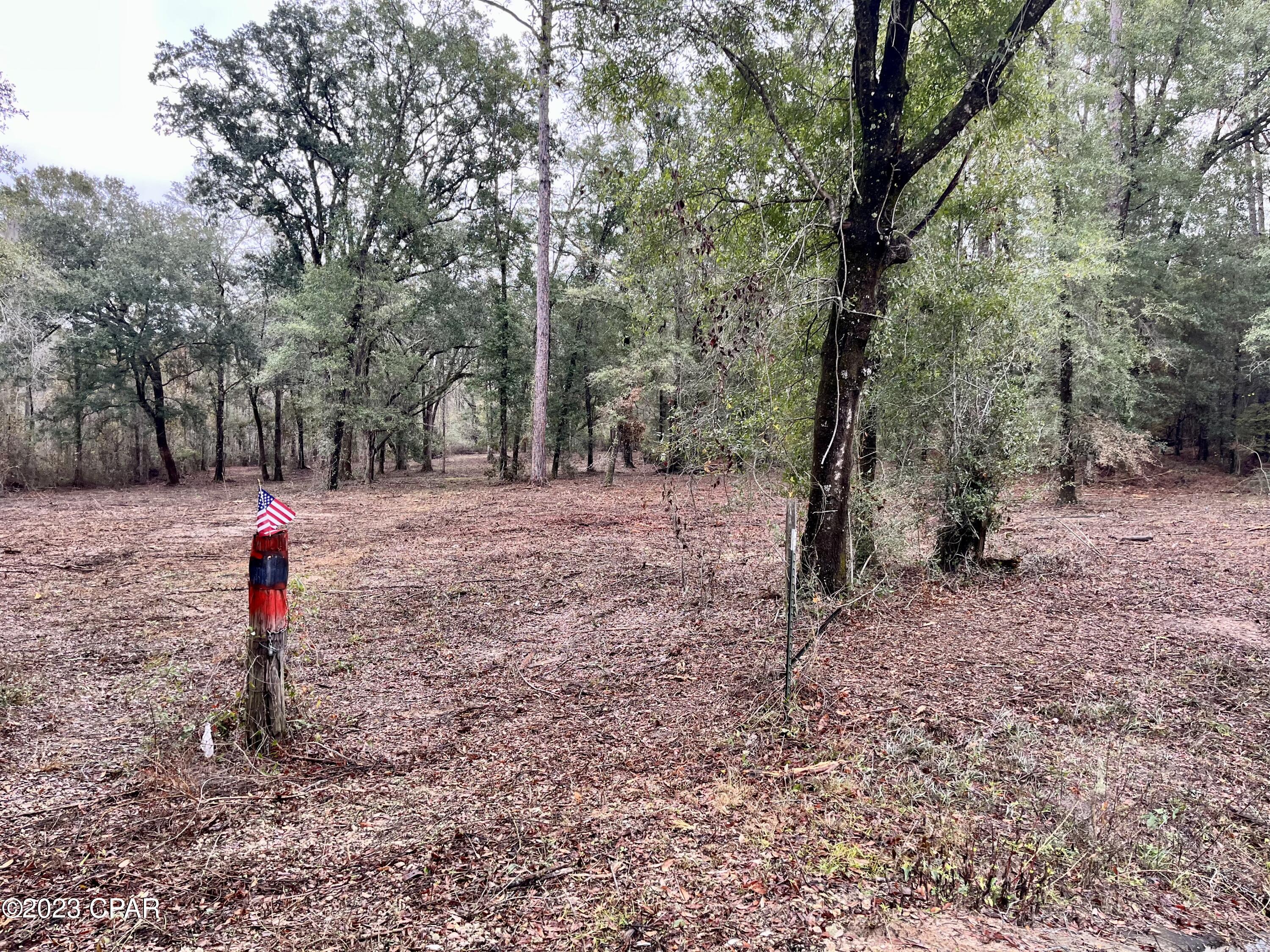 3199 Pate Pond Road Caryville, FL 32427 - Photo 22 of 36