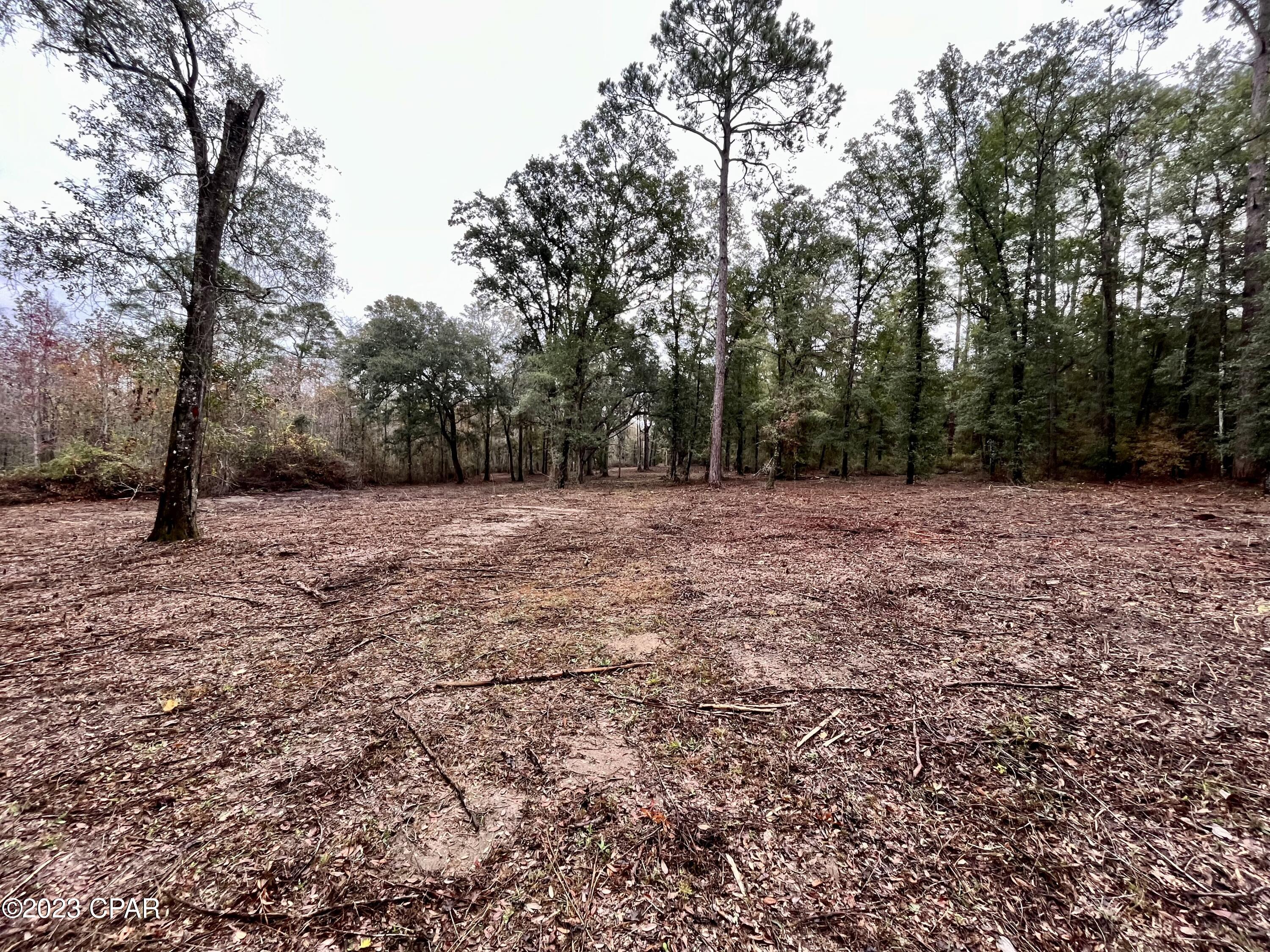 3199 Pate Pond Road Caryville, FL 32427 - Photo 23 of 36