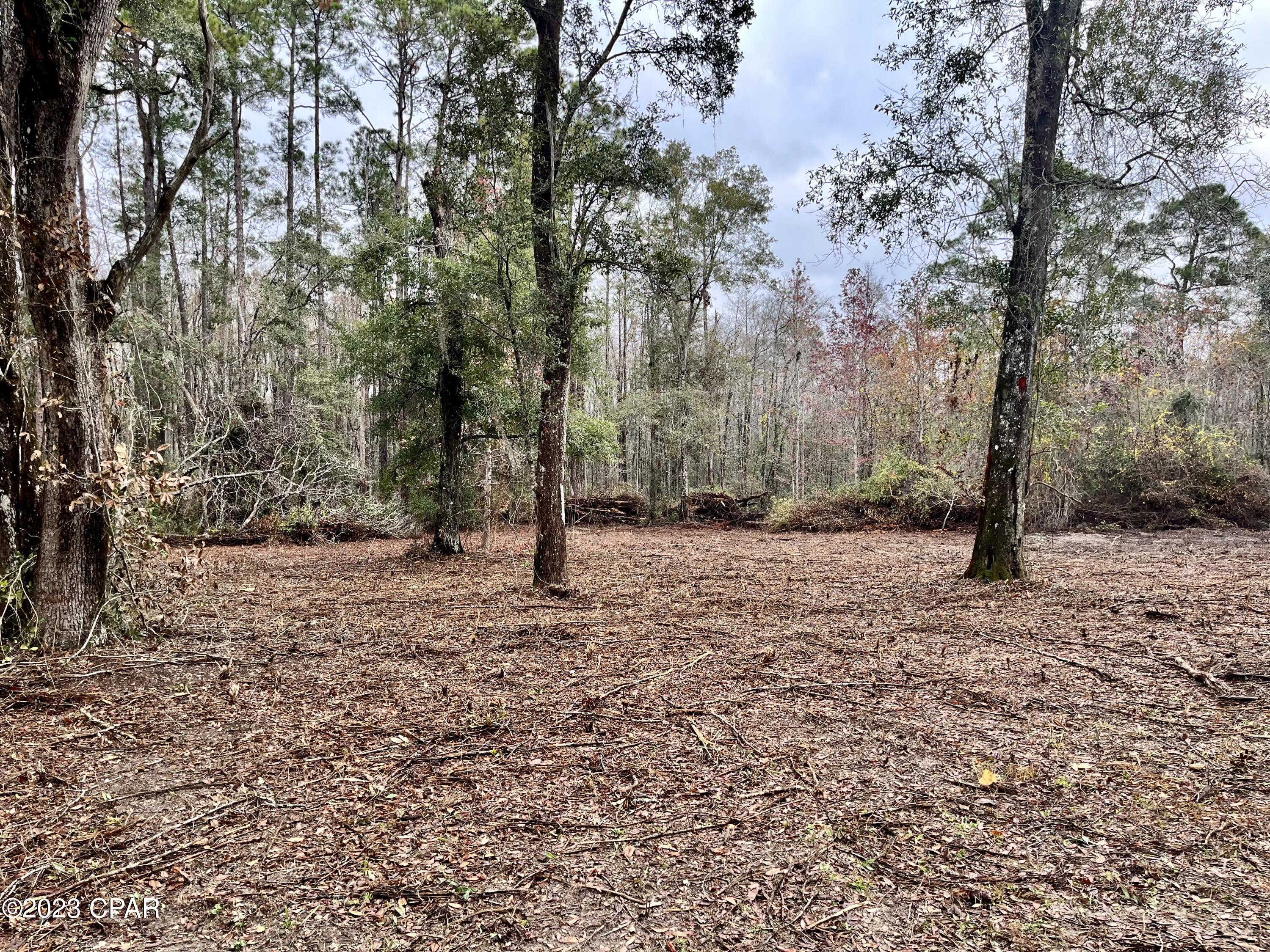 3199 Pate Pond Road Caryville, FL 32427 - Photo 24 of 36