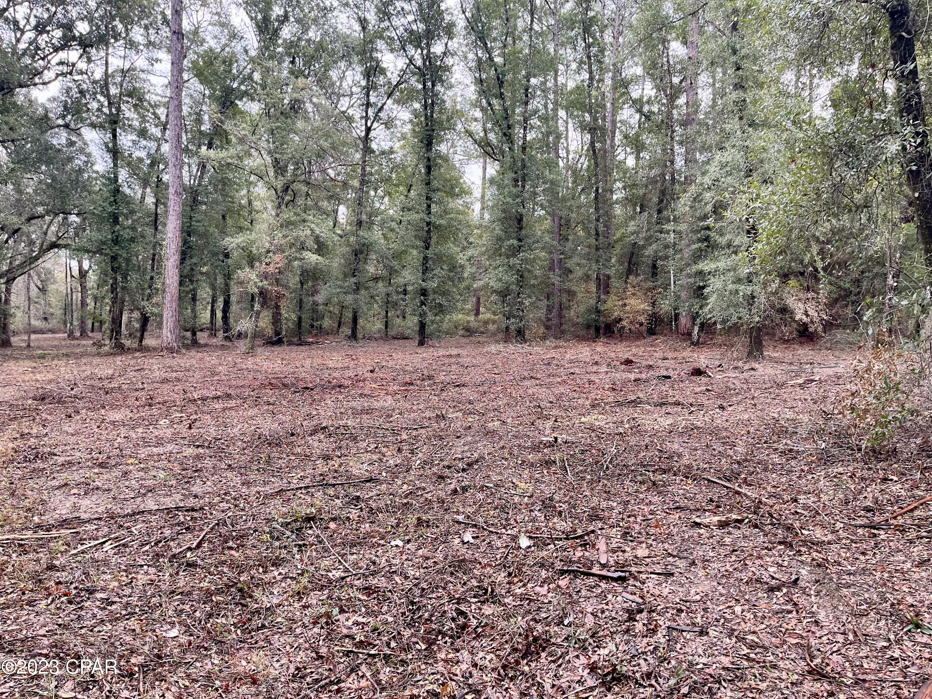 3199 Pate Pond Road Caryville, FL 32427 - Photo 25 of 36