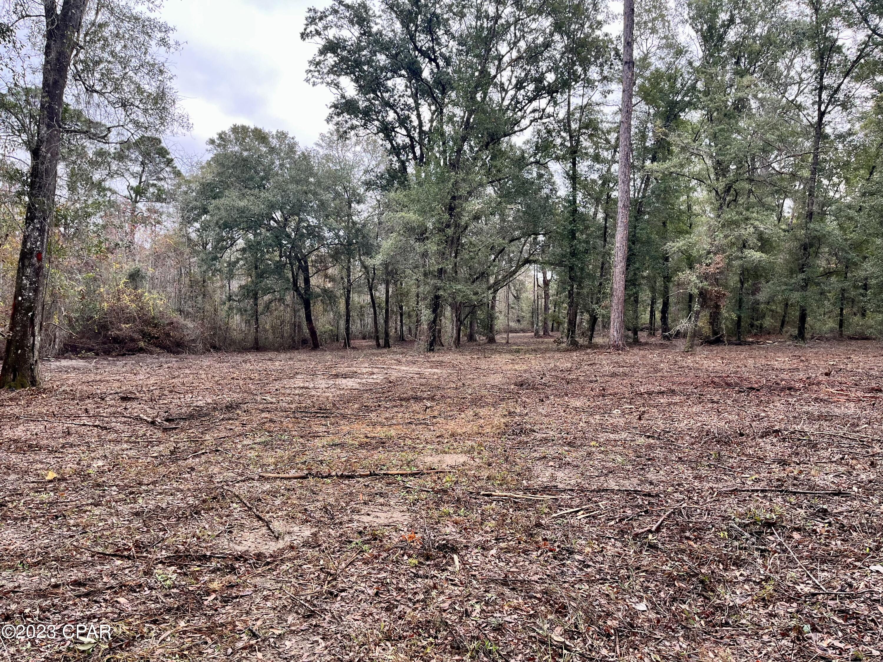 3199 Pate Pond Road Caryville, FL 32427 - Photo 26 of 36