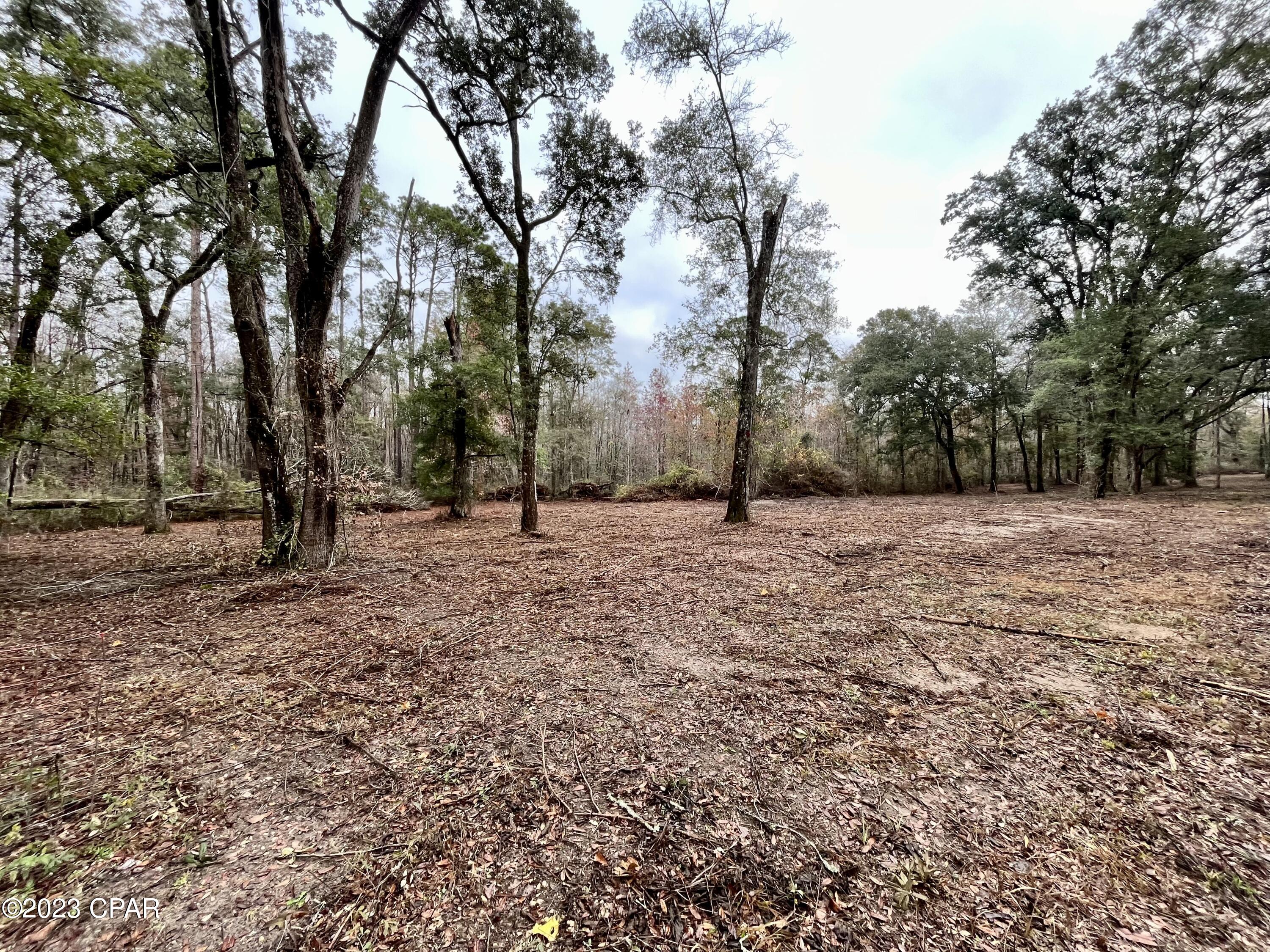 3199 Pate Pond Road Caryville, FL 32427 - Photo 27 of 36