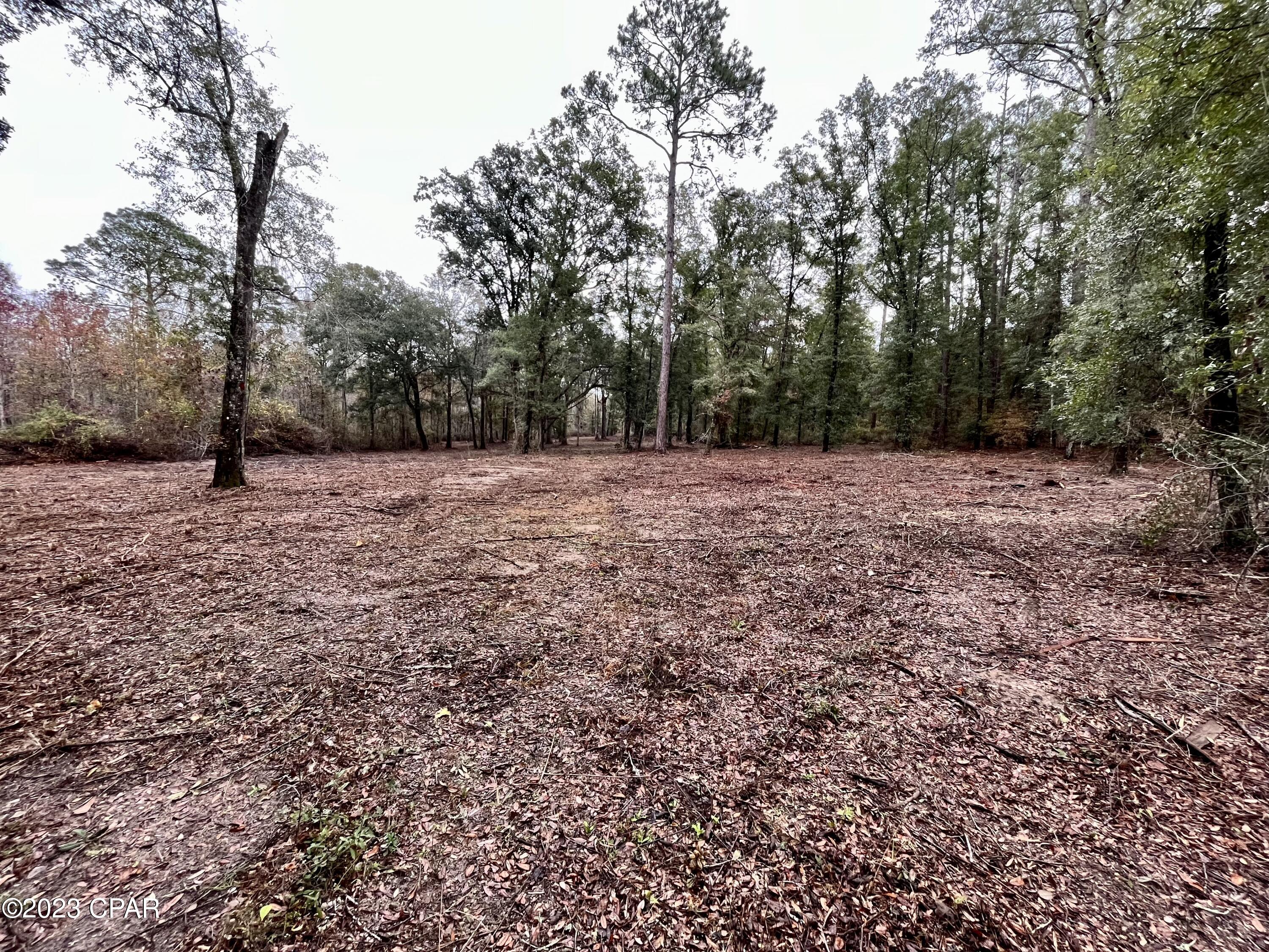 3199 Pate Pond Road Caryville, FL 32427 - Photo 28 of 36