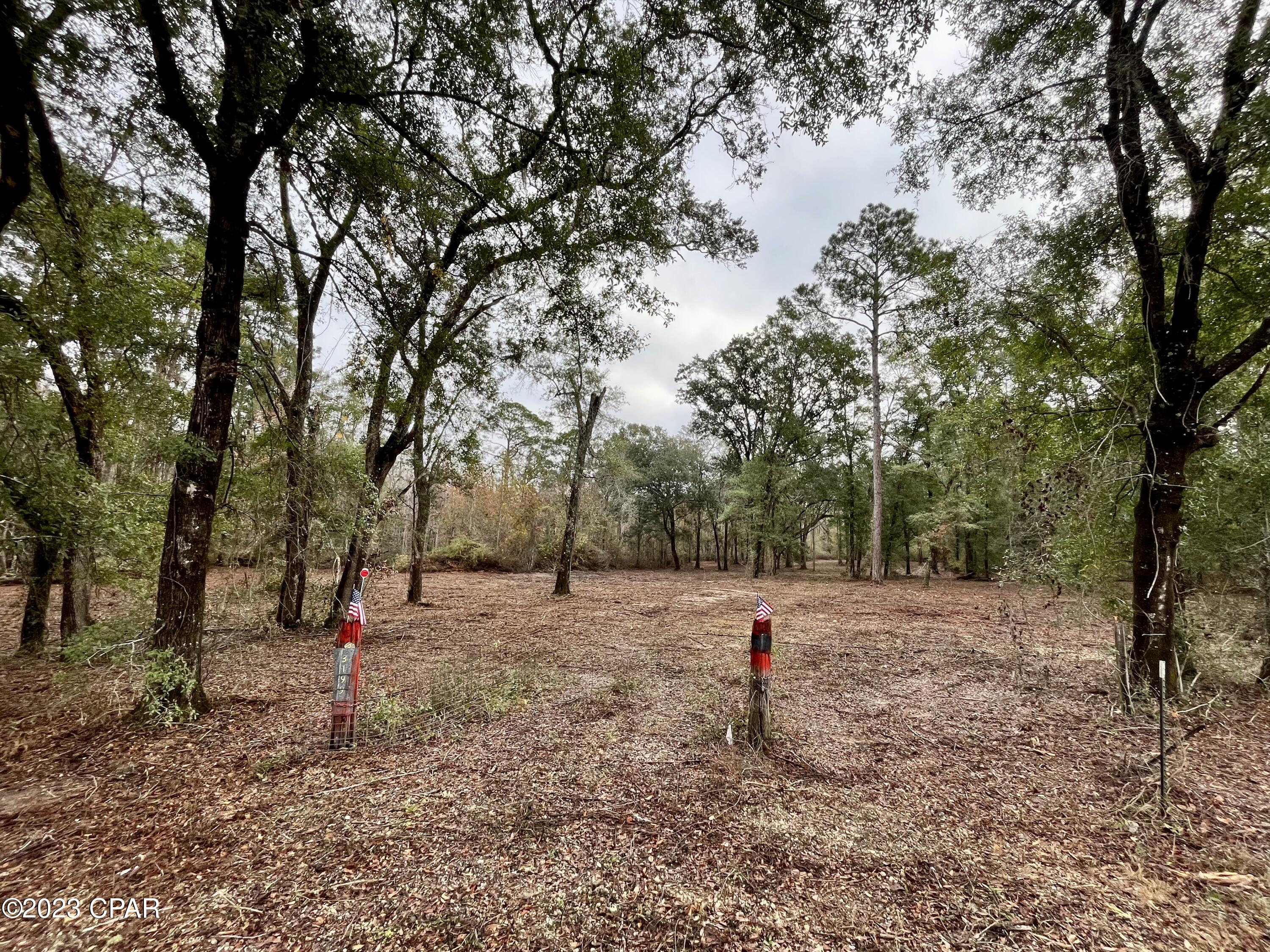 3199 Pate Pond Road Caryville, FL 32427 - Photo 29 of 36