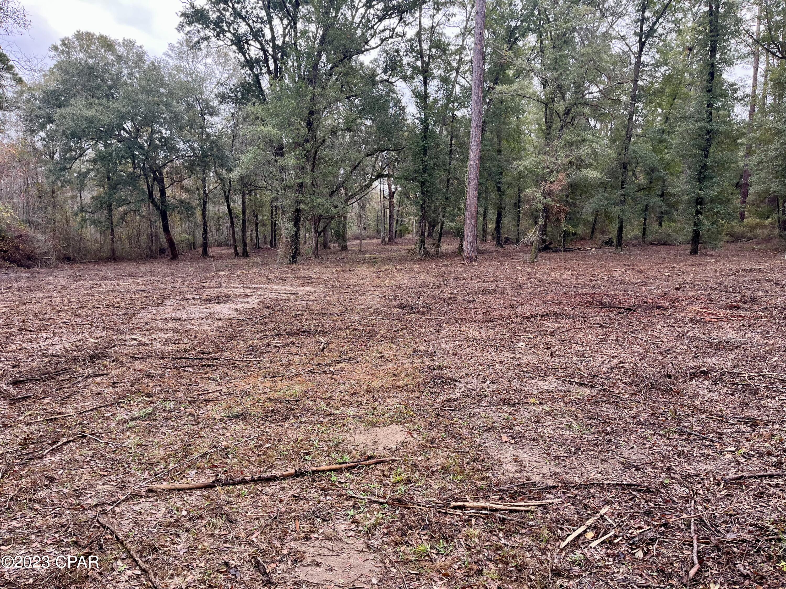 3199 Pate Pond Road Caryville, FL 32427 - Photo 30 of 36