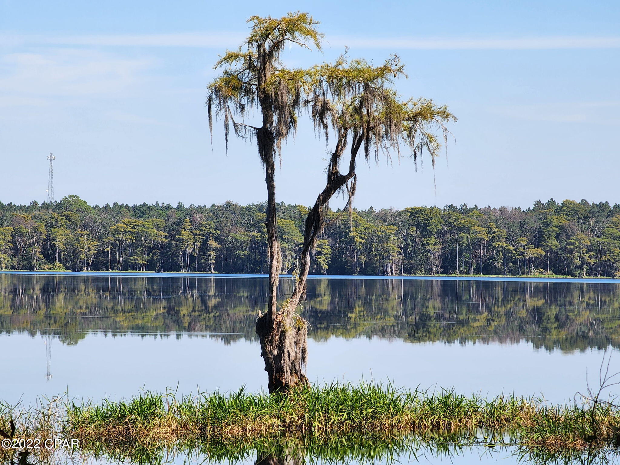 3199 Pate Pond Road Caryville, FL 32427 - Photo 3 of 36