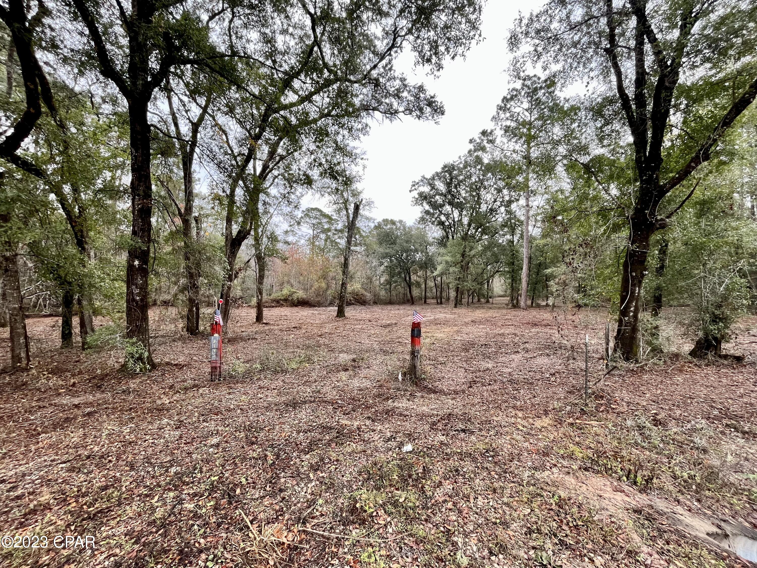 3199 Pate Pond Road Caryville, FL 32427 - Photo 31 of 36