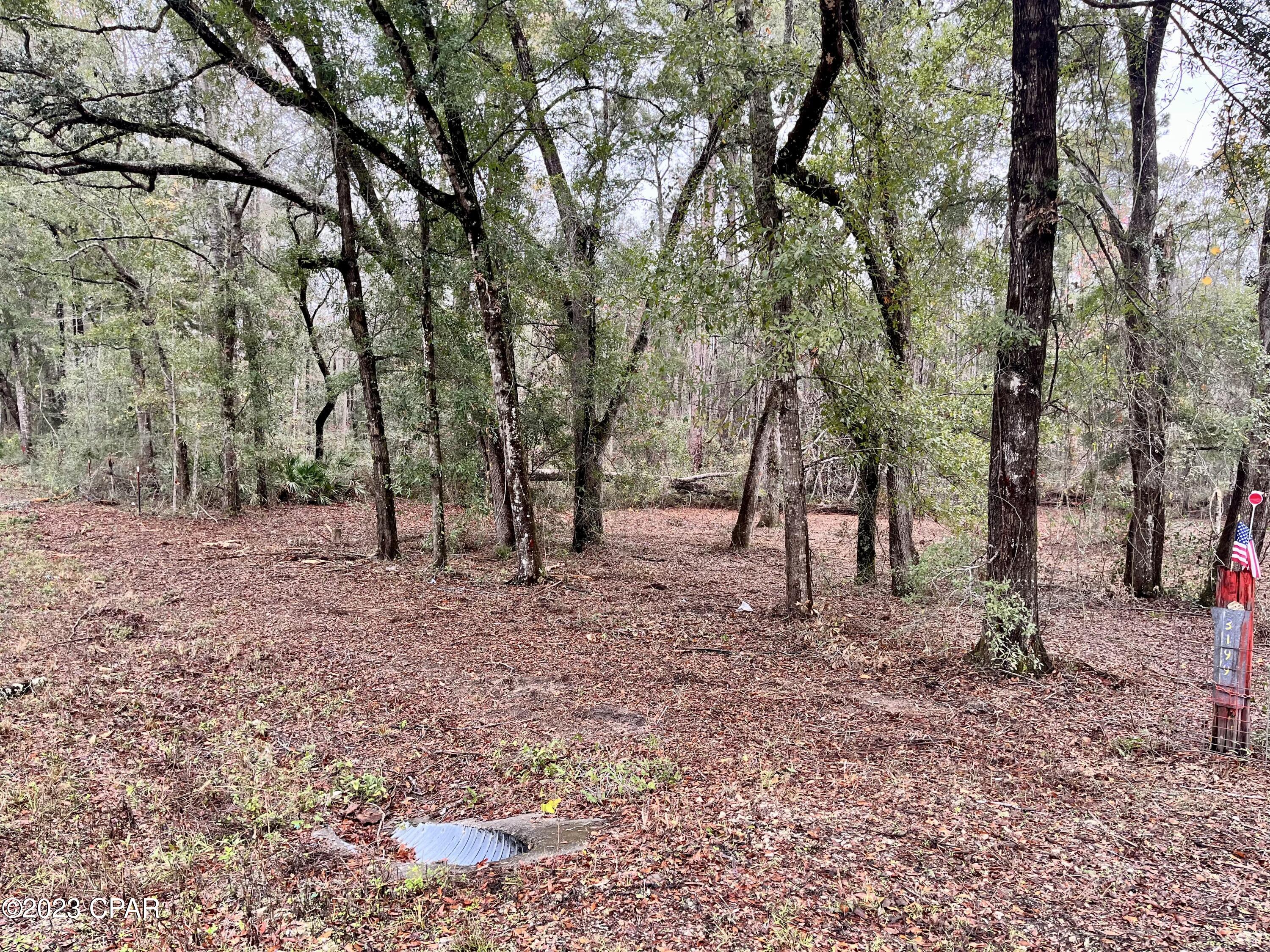 3199 Pate Pond Road Caryville, FL 32427 - Photo 34 of 36