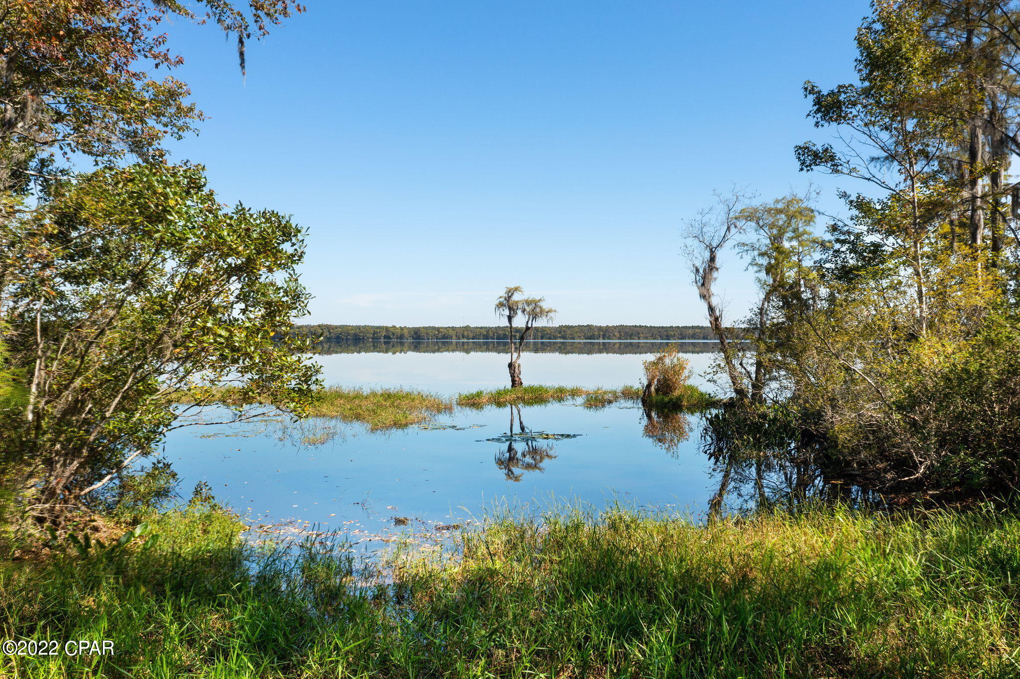 3199 Pate Pond Road Caryville, FL 32427 - Photo 4 of 36
